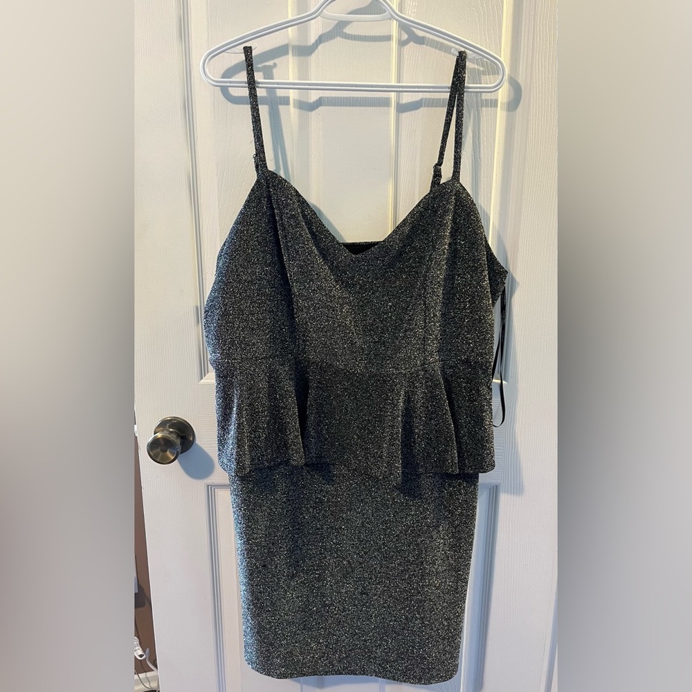 Forever 21 Women’s Plus Size Silver Dress